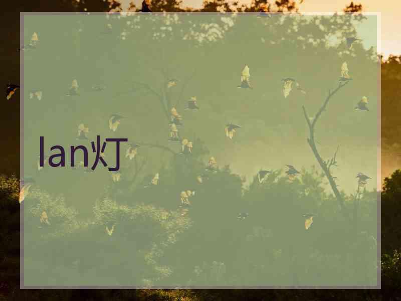 lan灯