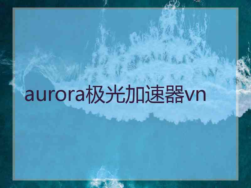 aurora极光加速器vn