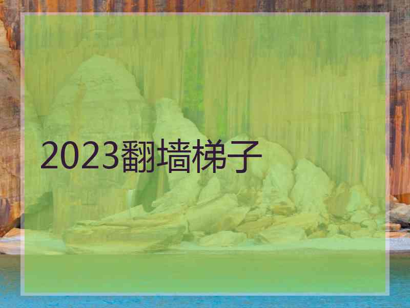 2023翻墙梯子