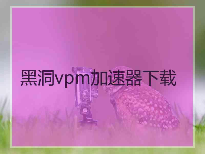黑洞vpm加速器下载