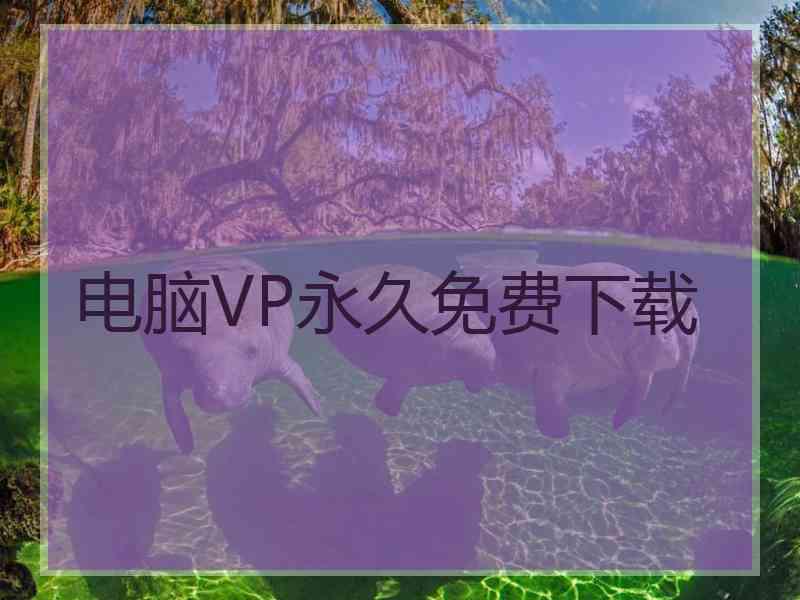 电脑VP永久免费下载