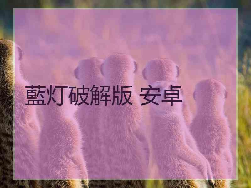 藍灯破解版 安卓