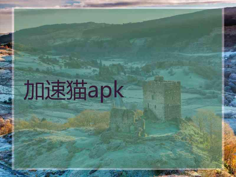 加速猫apk