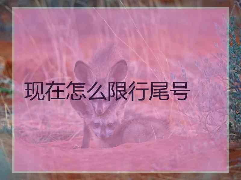 现在怎么限行尾号