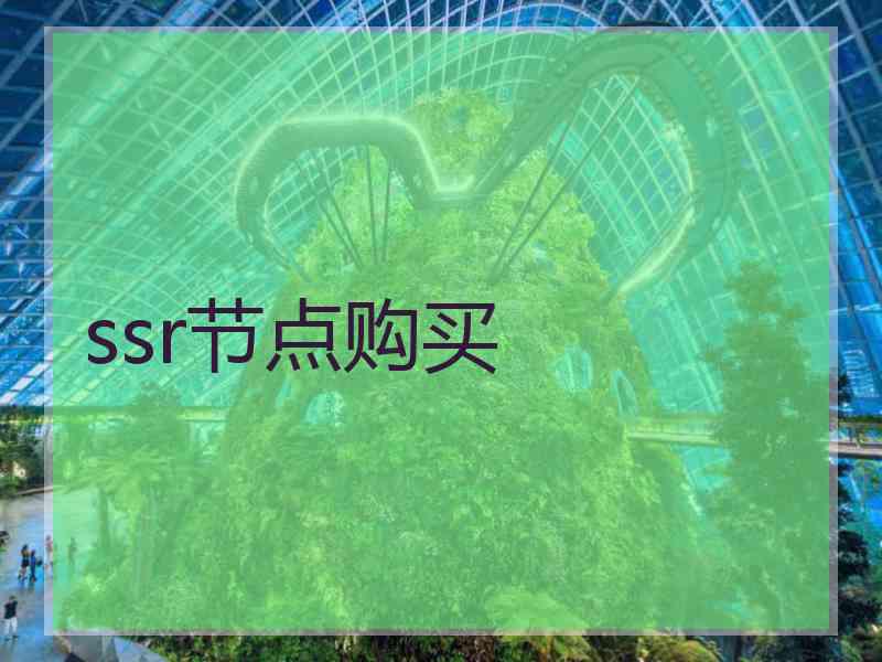 ssr节点购买