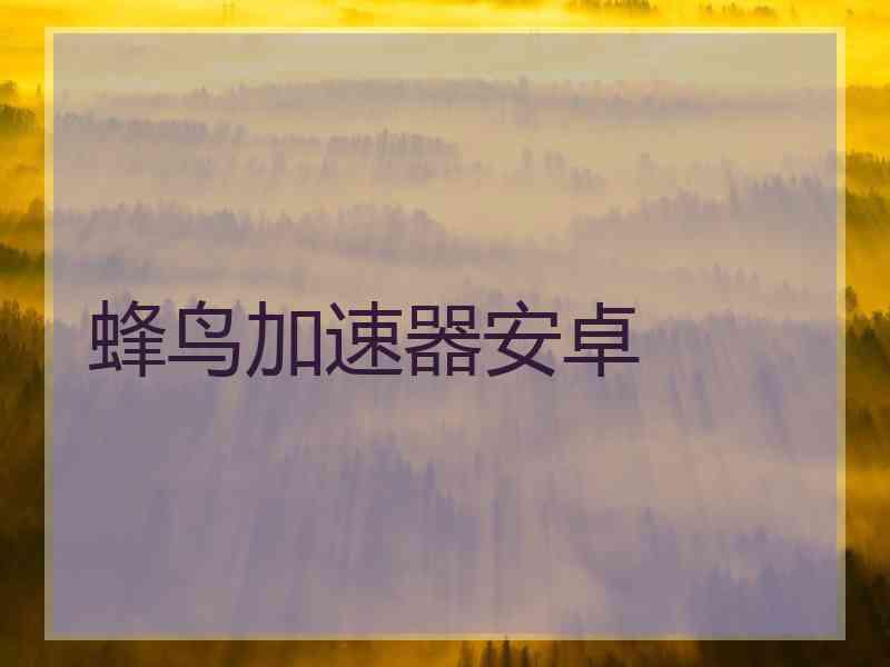蜂鸟加速器安卓