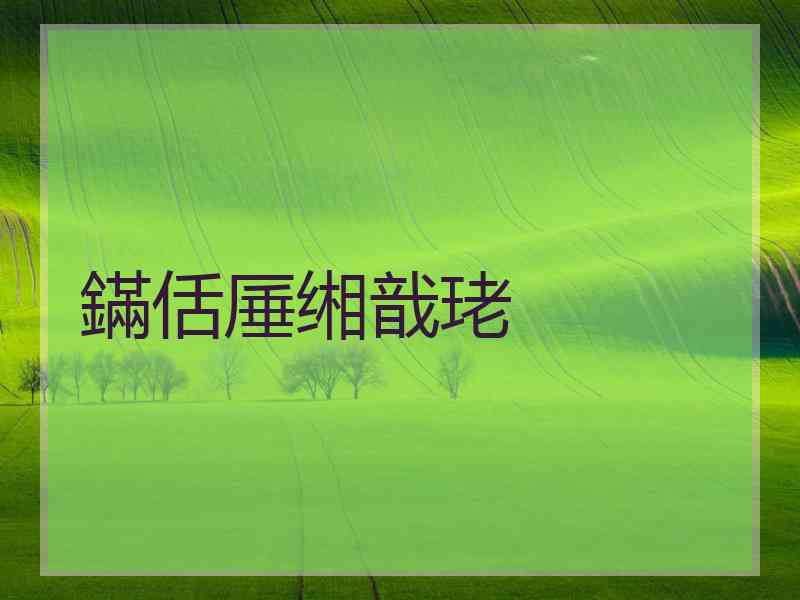 鏋佸厜缃戠珯