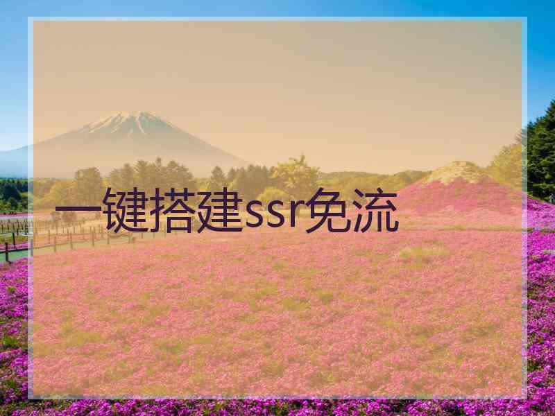 一键搭建ssr免流