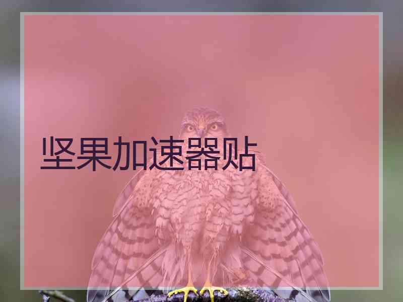 坚果加速器贴