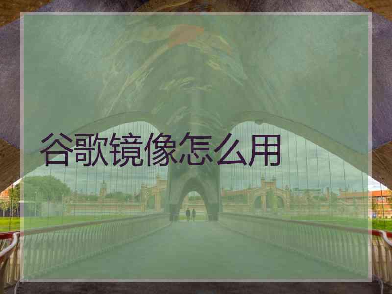 谷歌镜像怎么用