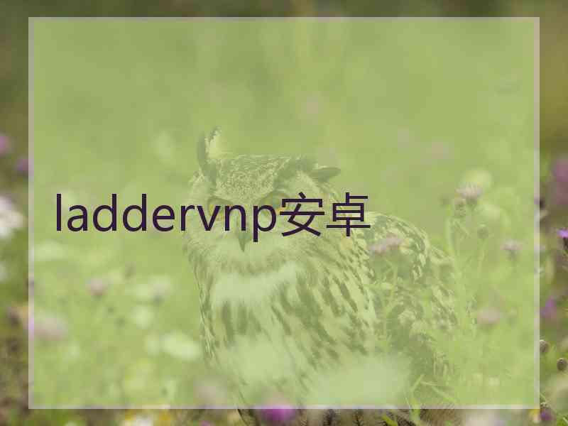 laddervnp安卓