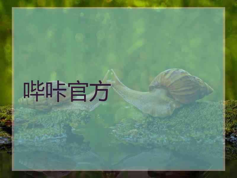 哔咔官方