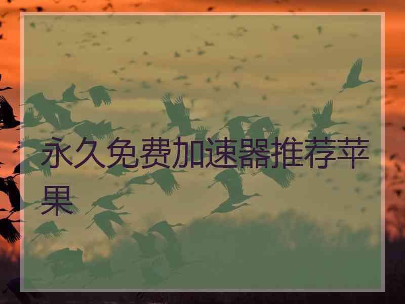 永久免费加速器推荐苹果