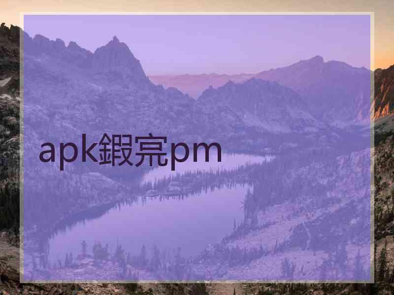 apk鍜宺pm