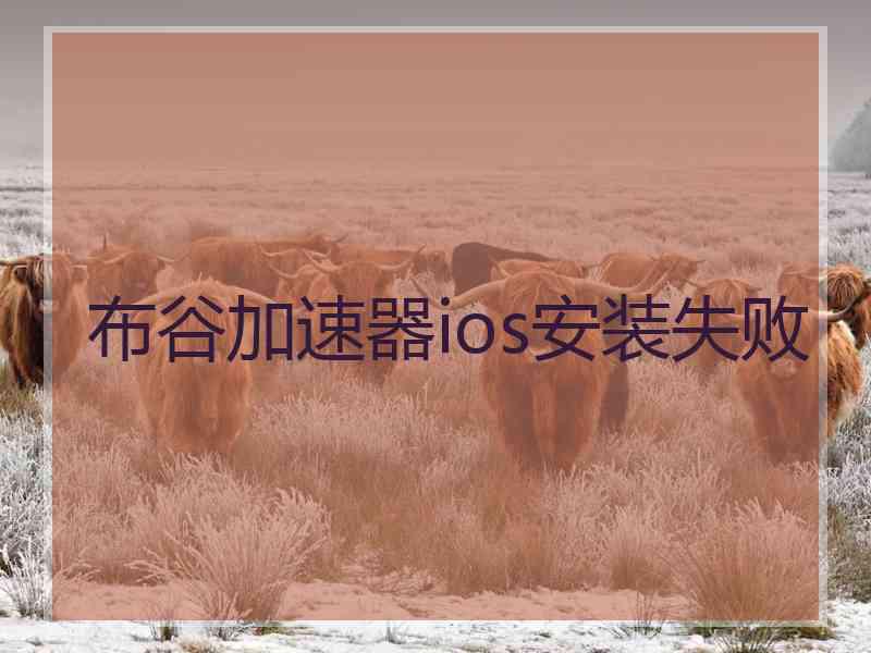 布谷加速器ios安装失败