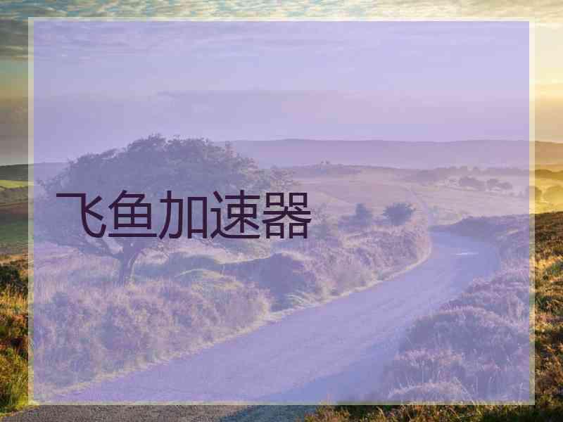 飞鱼加速器