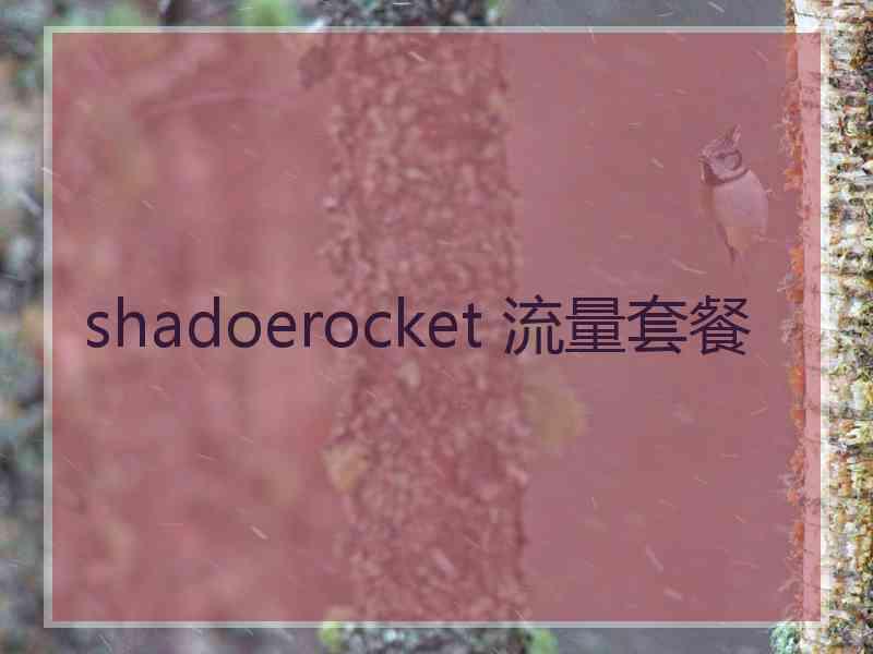 shadoerocket 流量套餐