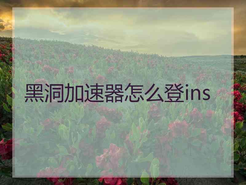 黑洞加速器怎么登ins
