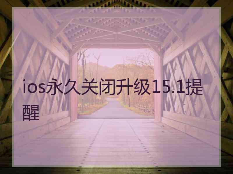 ios永久关闭升级15.1提醒