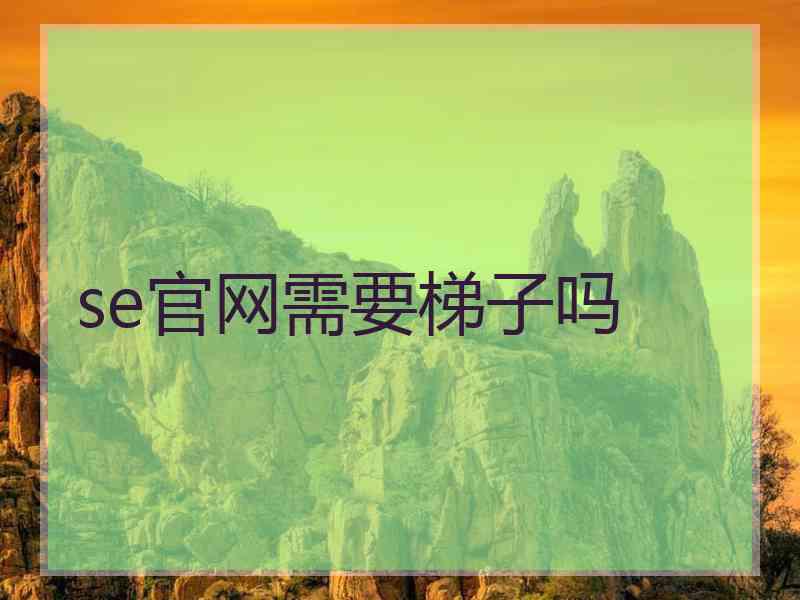 se官网需要梯子吗