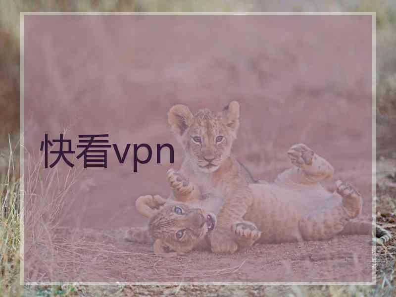 快看vpn