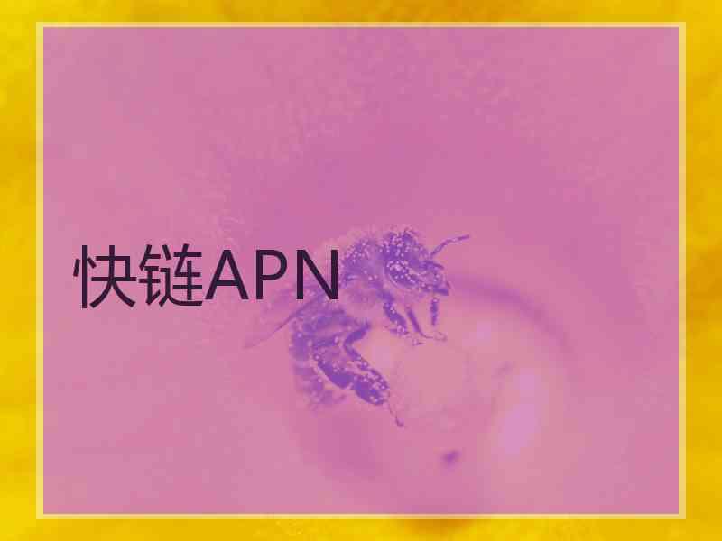 快链APN