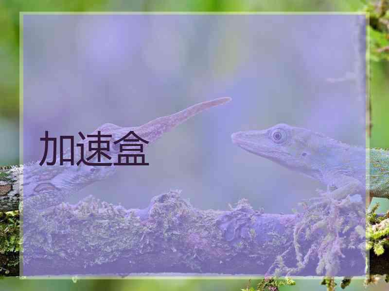 加速盒