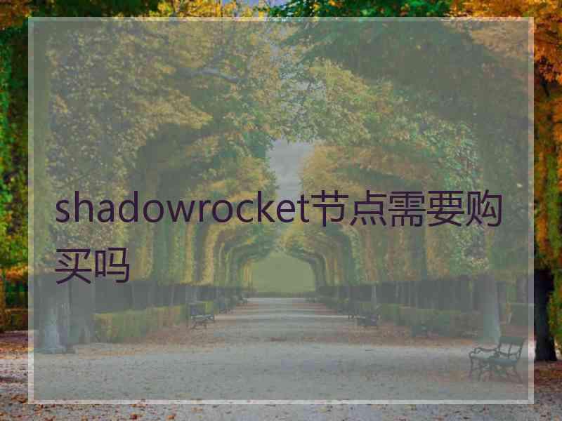 shadowrocket节点需要购买吗