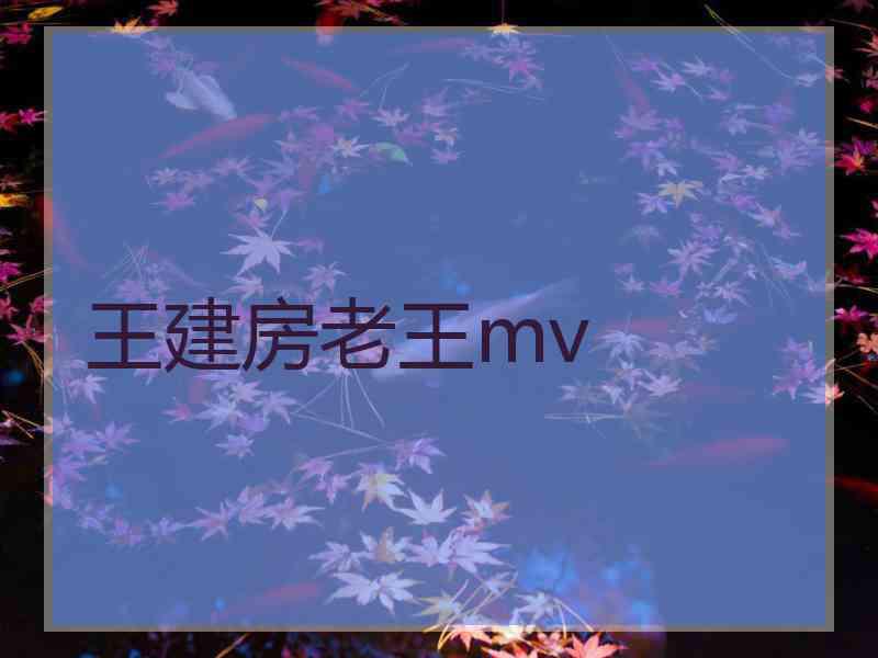 王建房老王mv
