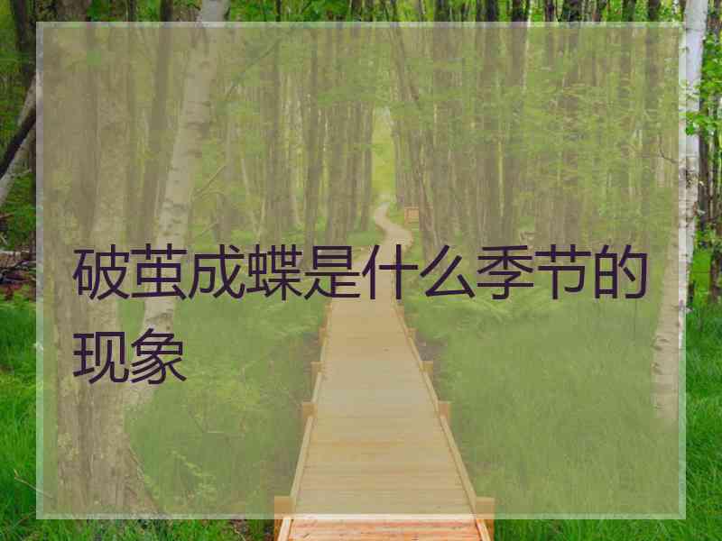 破茧成蝶是什么季节的现象