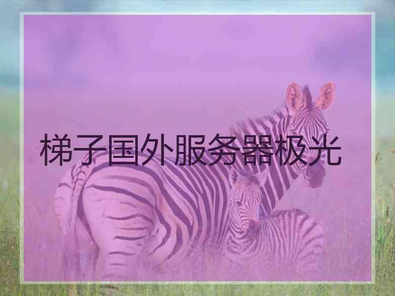 梯子国外服务器极光