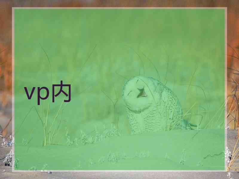 vp内