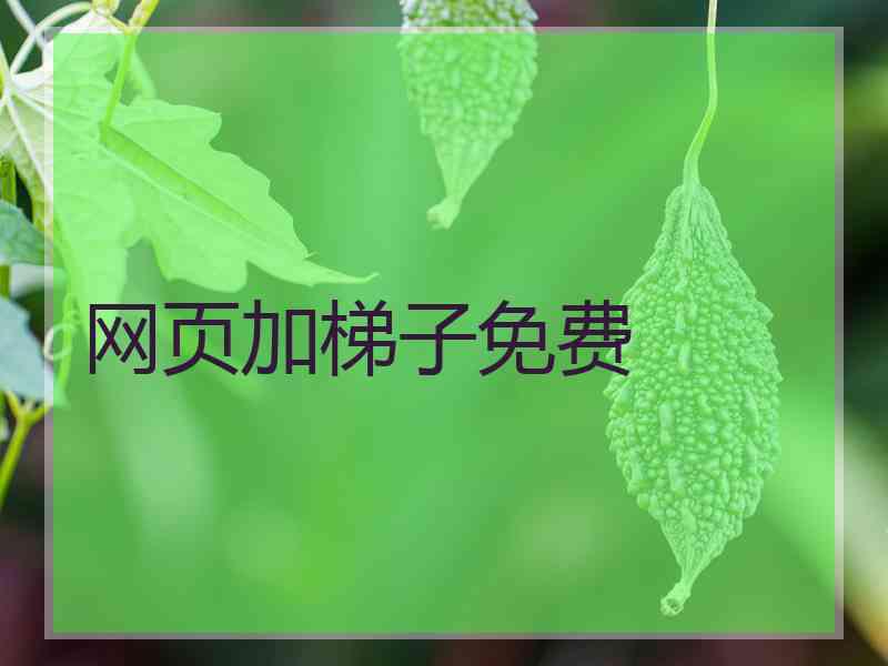 网页加梯子免费