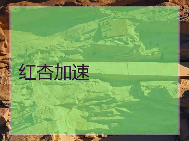 红杏加速