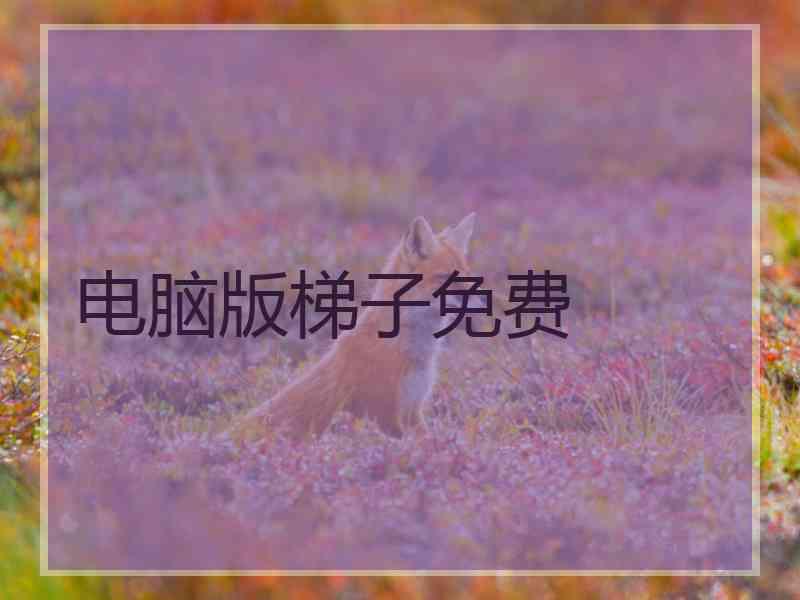 电脑版梯子免费