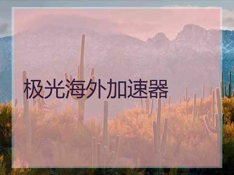 极光海外加速器