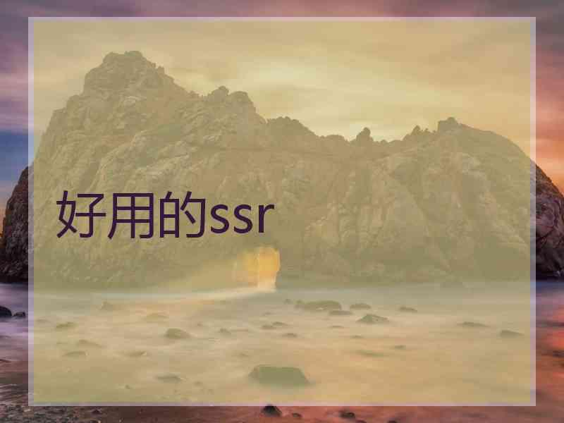 好用的ssr