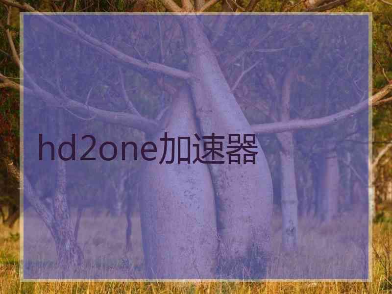 hd2one加速器