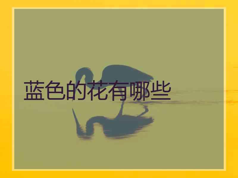 蓝色的花有哪些
