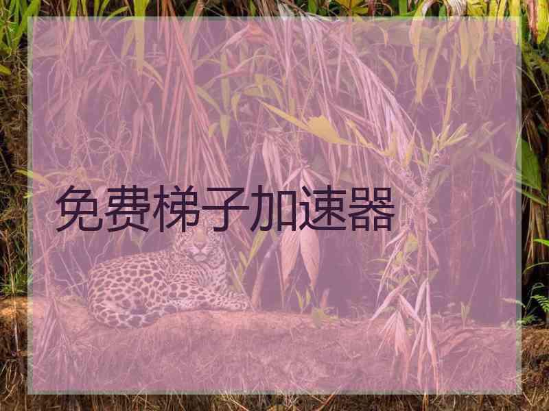 免费梯子加速器