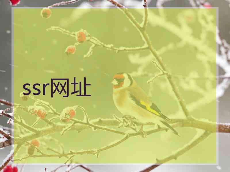 ssr网址