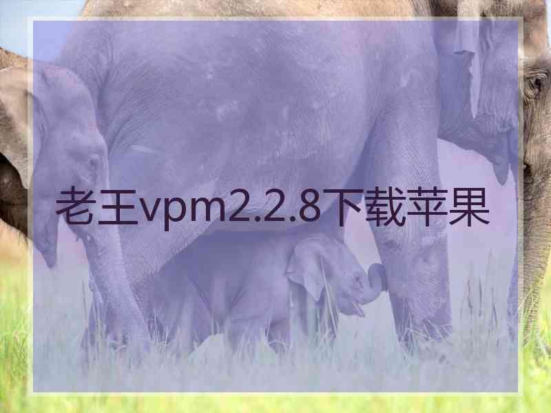 老王vpm2.2.8下载苹果