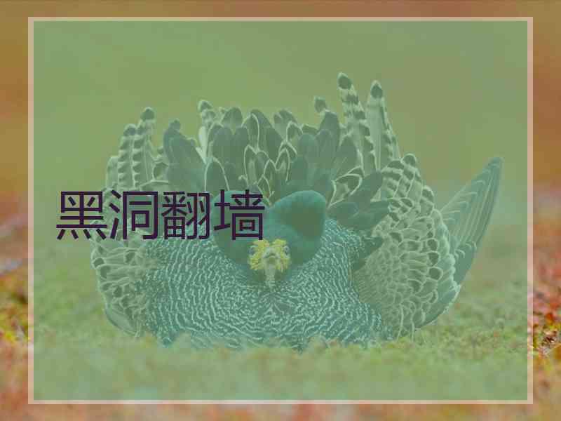黑洞翻墙