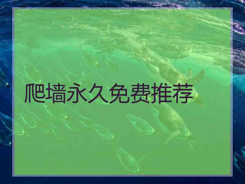 爬墙永久免费推荐