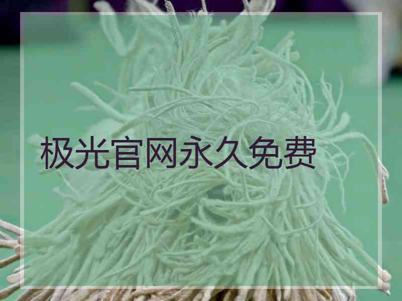 极光官网永久免费