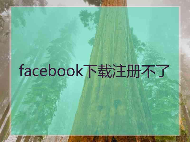 facebook下载注册不了