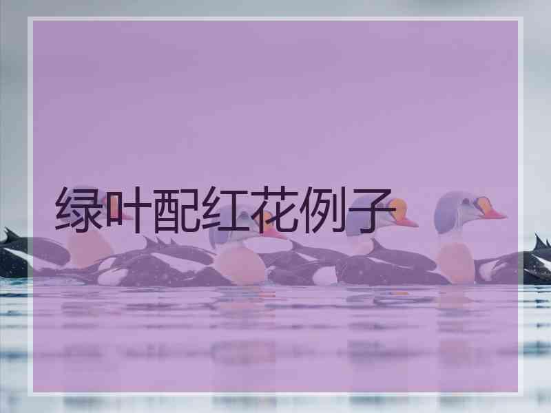 绿叶配红花例子