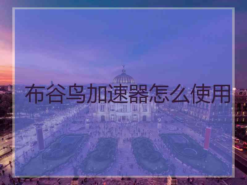 布谷鸟加速器怎么使用