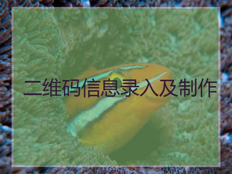二维码信息录入及制作