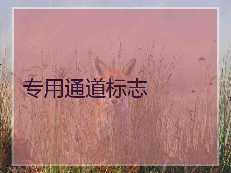 专用通道标志